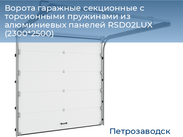 Ворота гаражные секционные с торсионными пружинами из алюминиевых панелей RSD02LUX (2300*2500), petrozavodsk.doorhan.ru