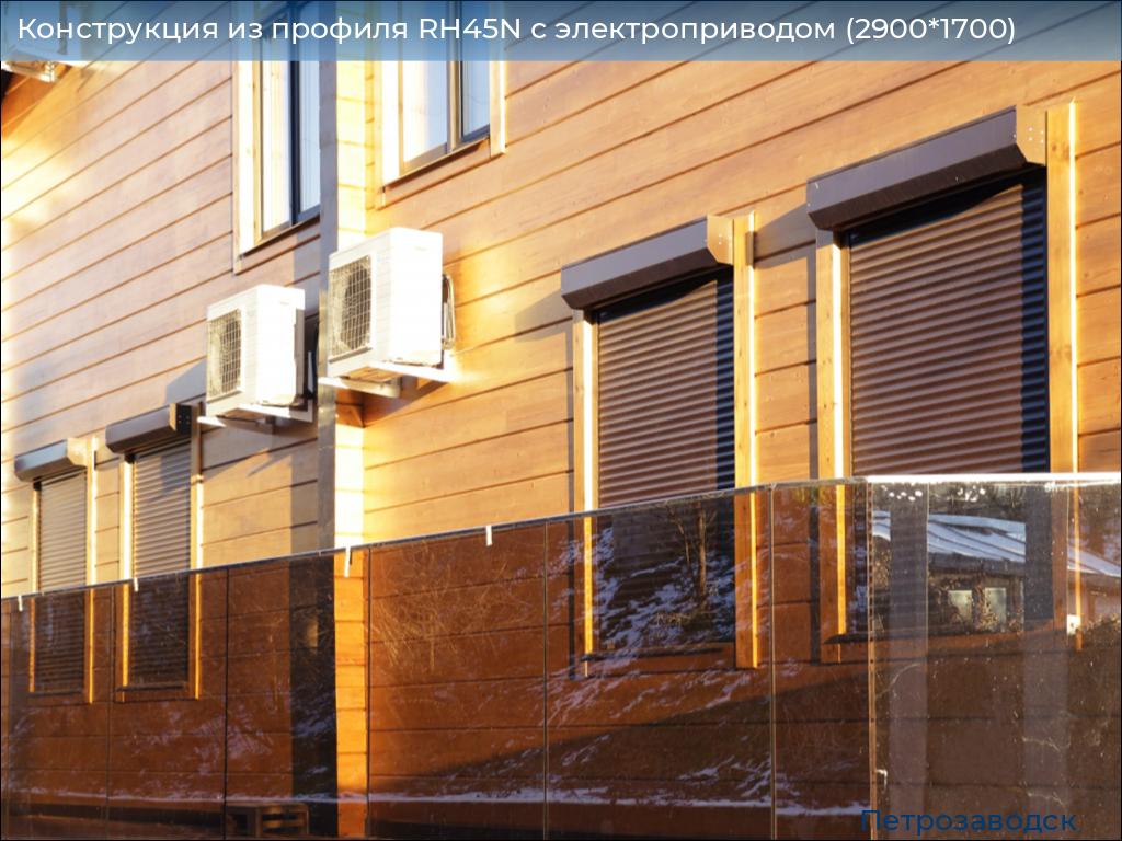 Конструкция из профиля RH45N с электроприводом (2900*1700), petrozavodsk.doorhan.ru