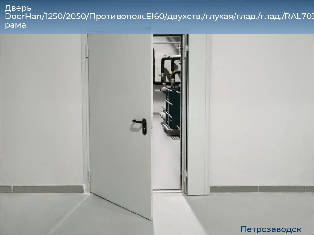 Дверь DoorHan/1250/2050/Противопож.EI60/двухств./глухая/глад./глад./RAL7035/лев./угл. рама, petrozavodsk.doorhan.ru