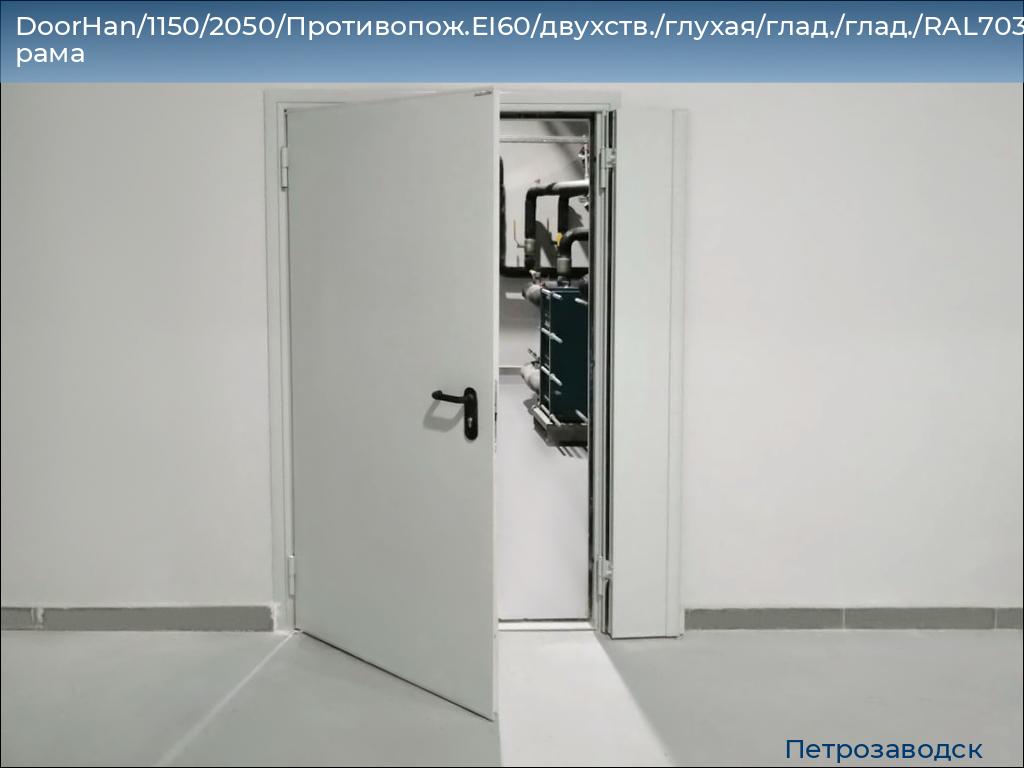 DoorHan/1150/2050/Противопож.EI60/двухств./глухая/глад./глад./RAL7035/лев./угл. рама, petrozavodsk.doorhan.ru
