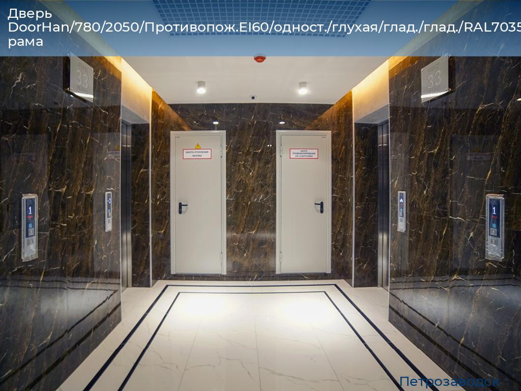 Дверь DoorHan/780/2050/Противопож.EI60/одност./глухая/глад./глад./RAL7035/лев./угл. рама, petrozavodsk.doorhan.ru