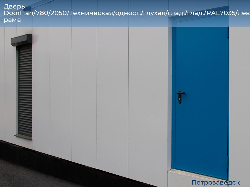 Дверь DoorHan/780/2050/Техническая/одност./глухая/глад./глад./RAL7035/лев./угл. рама, petrozavodsk.doorhan.ru