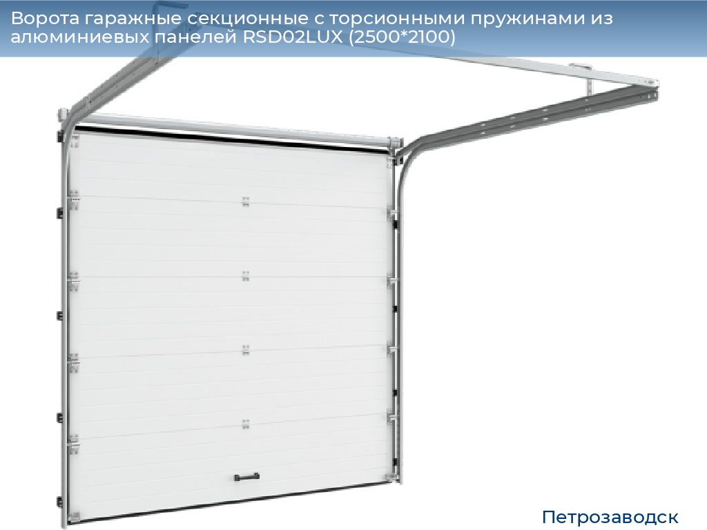 Ворота гаражные секционные с торсионными пружинами из алюминиевых панелей RSD02LUX (2500*2100), petrozavodsk.doorhan.ru
