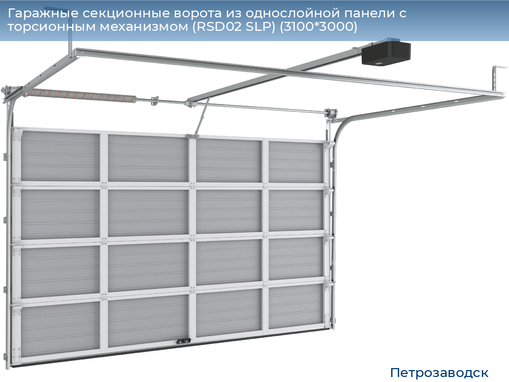 Гаражные секционные ворота из однослойной панели с торсионным механизмом (RSD02 SLP) (3100*3000), petrozavodsk.doorhan.ru