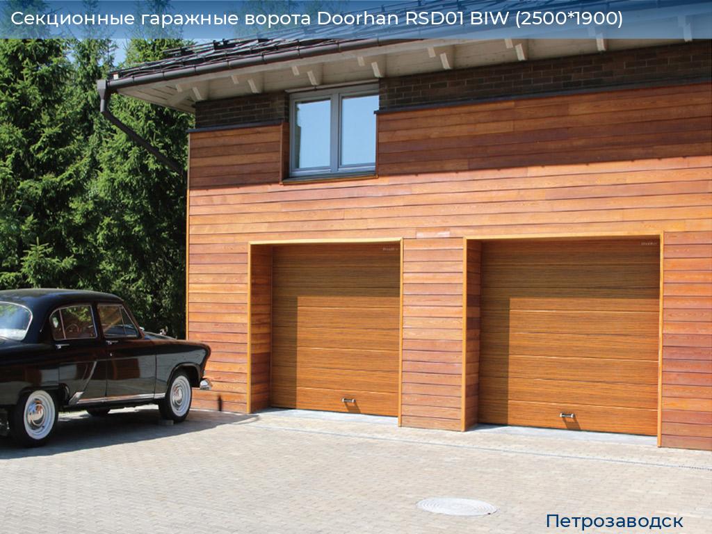 Секционные гаражные ворота Doorhan RSD01 BIW (2500*1900), petrozavodsk.doorhan.ru