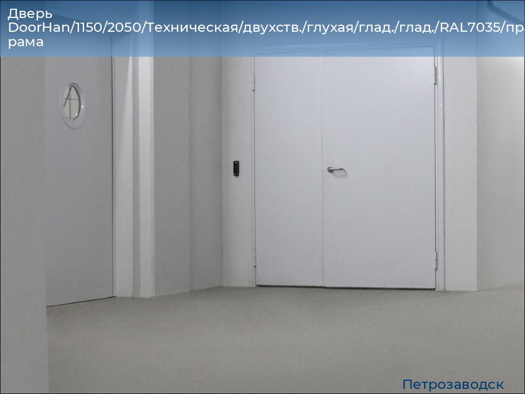 Дверь DoorHan/1150/2050/Техническая/двухств./глухая/глад./глад./RAL7035/прав./угл. рама, petrozavodsk.doorhan.ru