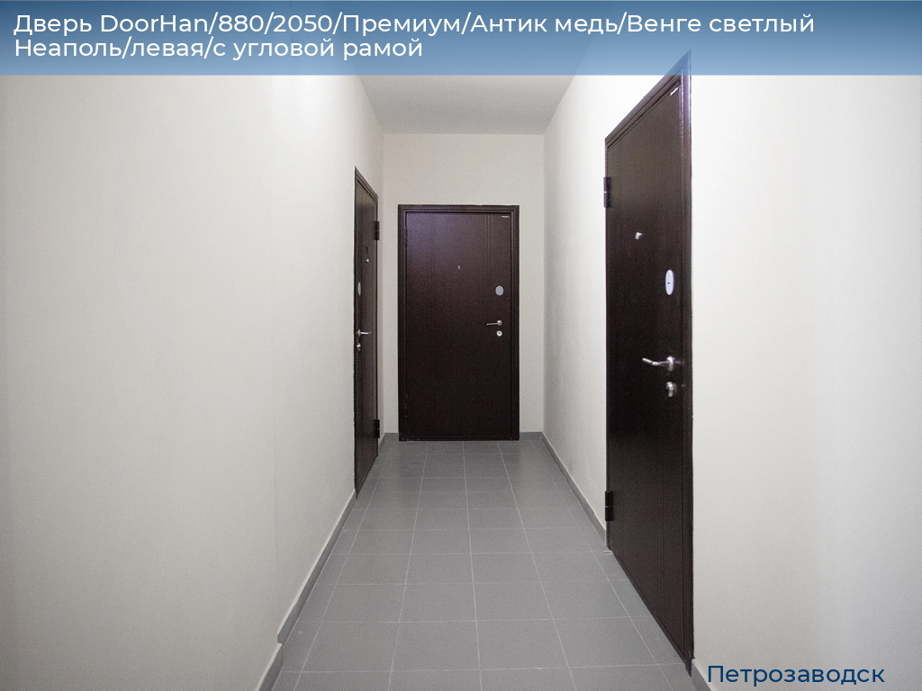 Дверь DoorHan/880/2050/Премиум/Антик медь/Венге светлый Неаполь/левая/с угловой рамой, petrozavodsk.doorhan.ru