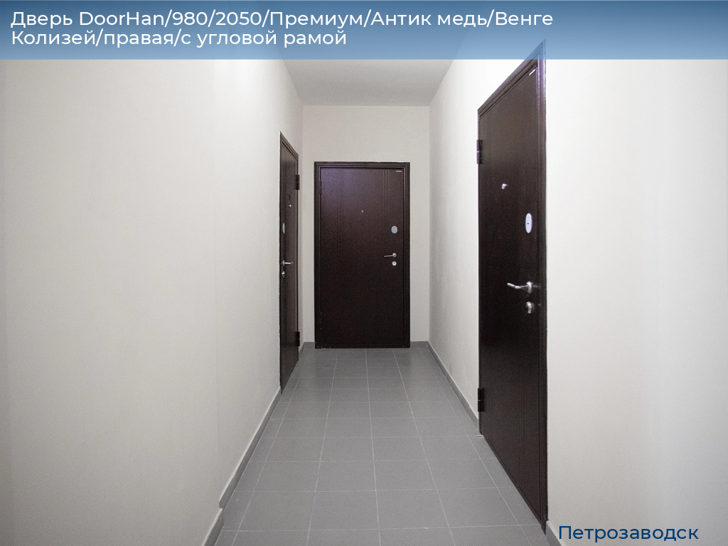 Дверь DoorHan/980/2050/Премиум/Антик медь/Венге Колизей/правая/с угловой рамой, petrozavodsk.doorhan.ru