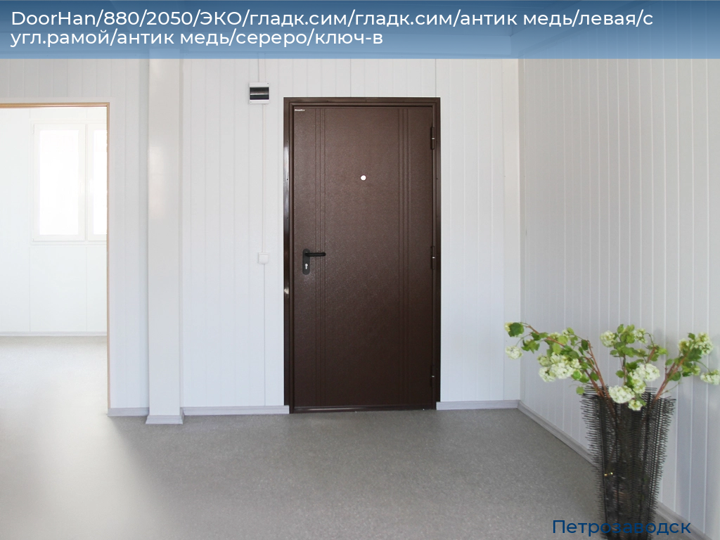 DoorHan/880/2050/ЭКО/гладк.сим/гладк.сим/антик медь/левая/с угл.рамой/антик медь/сереро/ключ-в, petrozavodsk.doorhan.ru