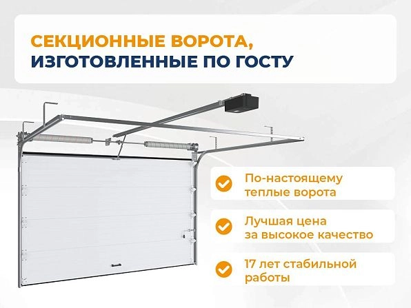 Cекционные ворота 3300х3000 мм антрацитовые DoorHan RSD02, petrozavodsk.doorhan.ru
